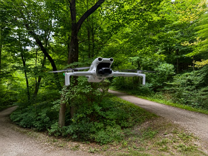 Drone on a forest trail