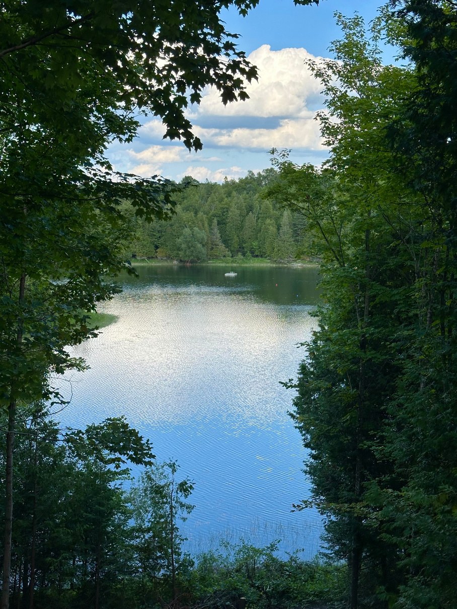 Northern pond view framed by trees