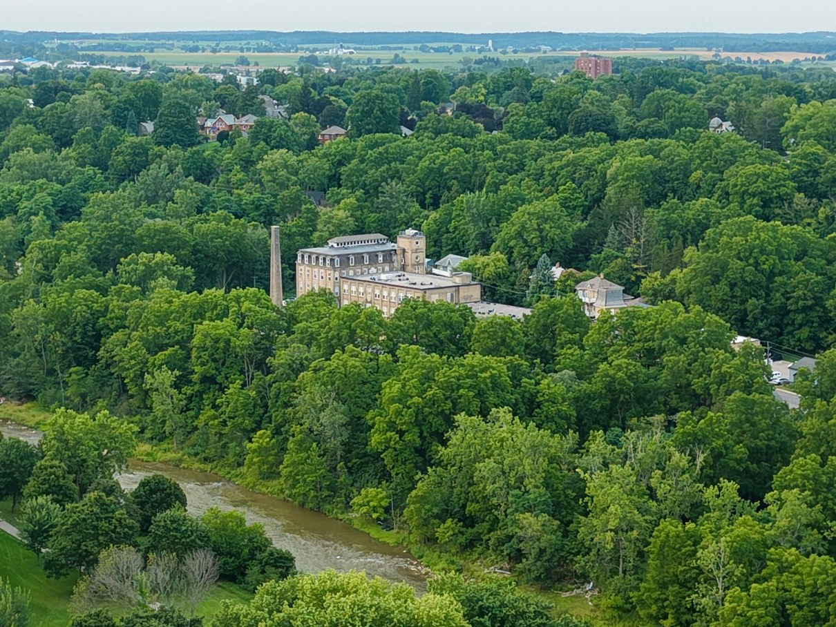 Aerial view over Southern Ontario tree line and property
